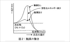 酵素の触媒としての働き