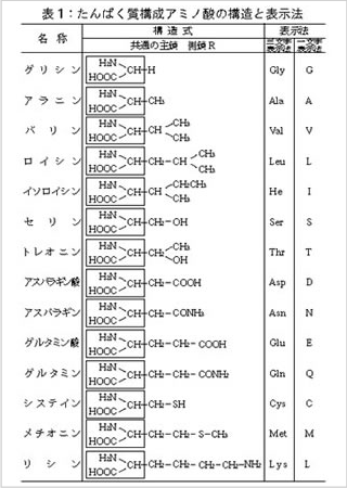 側鎖