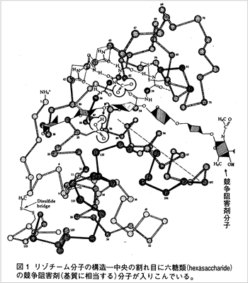 分子モデル