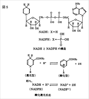 酸化還元反応