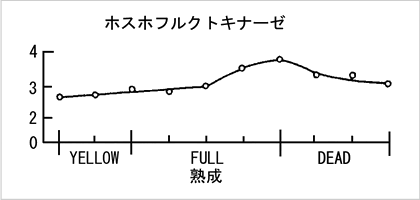 熟成過程の酵素活性2